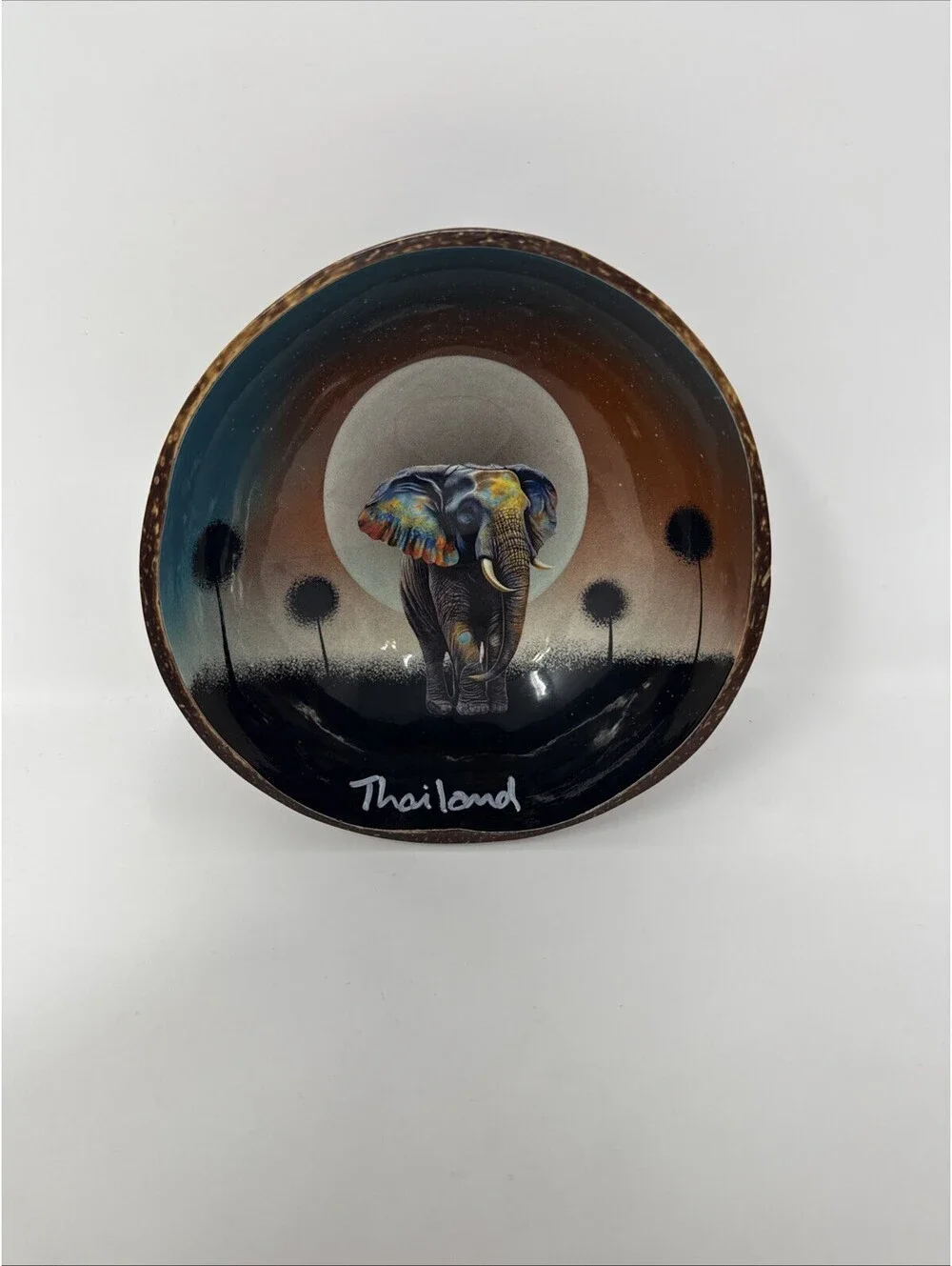 Coconut shell natural material painted souvenirs Thai